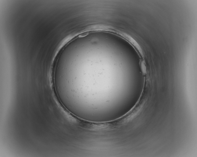 X0000111390997200907101143