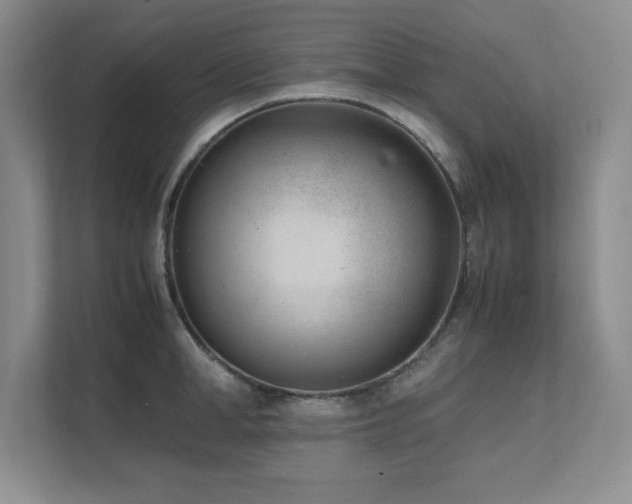 X0000111390998200907101143