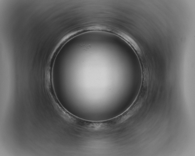 X0000111391000200907101143