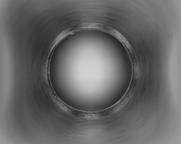 X0000111391002200907101143