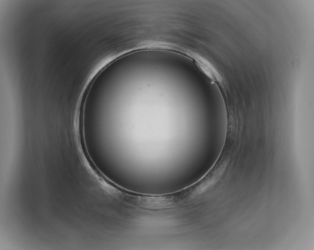 X0000111391007200907101143