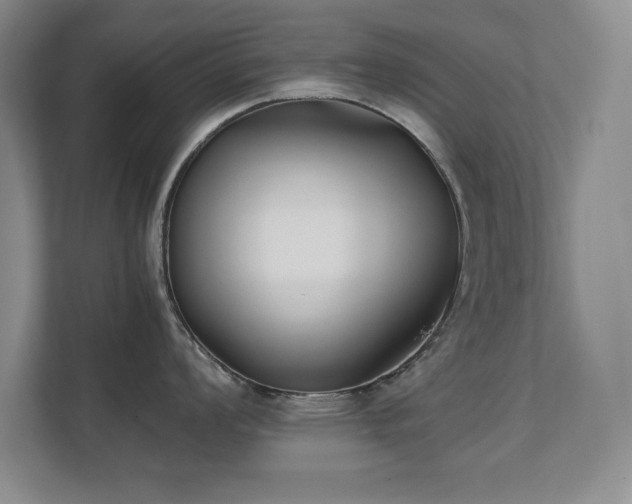 X0000111391008200907101143