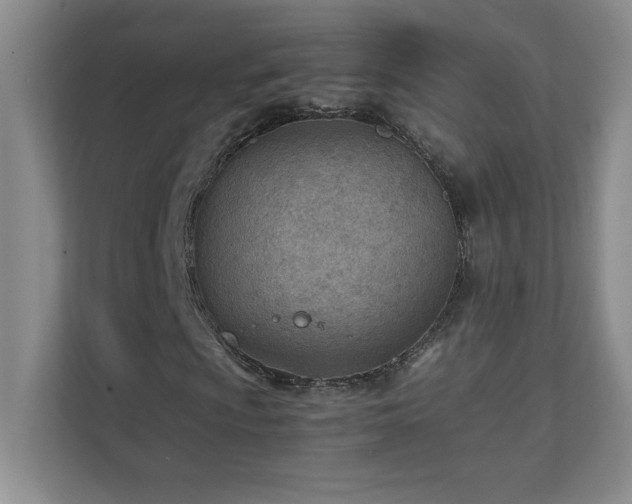 X0000111391009200907101142