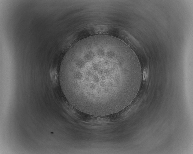 X0000111391011200907101142