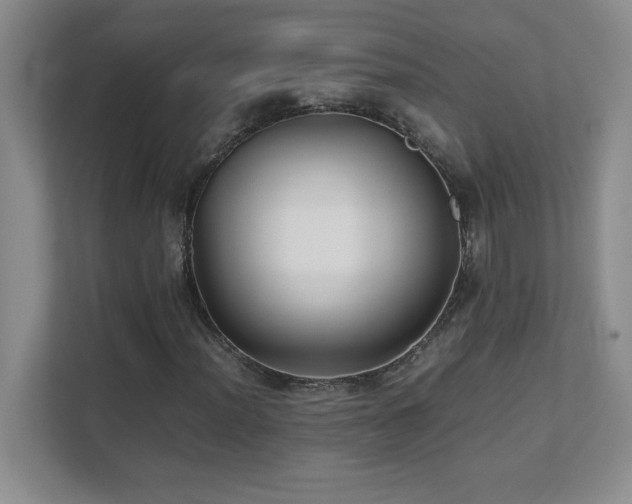 X0000111391012200907101142