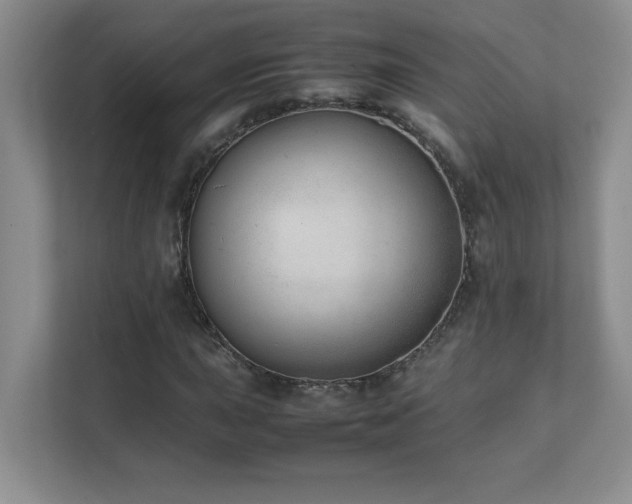 X0000111391015200907101142