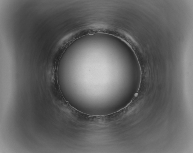 X0000111391016200907101142