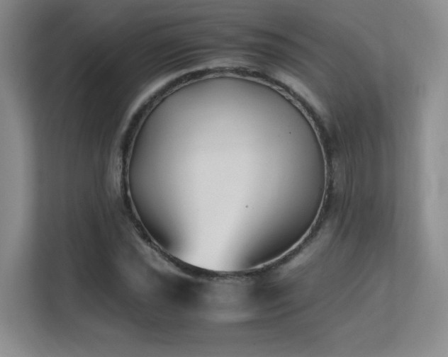 X0000111391021200907101142