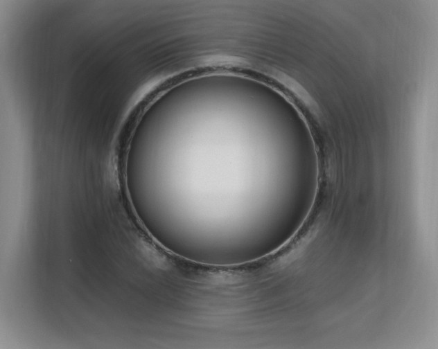 X0000111391022200907101142
