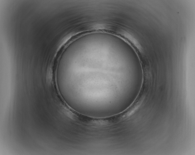 X0000111391023200907101142