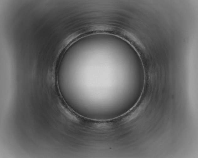 X0000111391025200907101142
