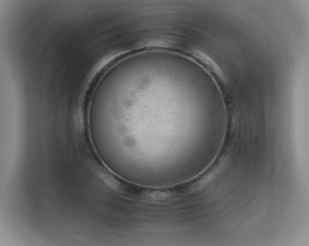 X0000111391027200907101142