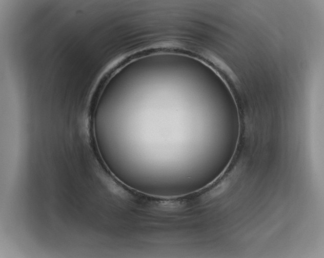 X0000111391029200907101142