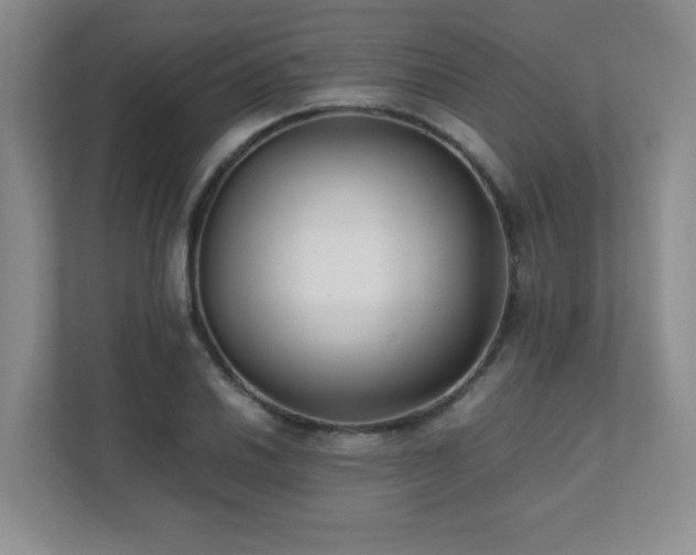 X0000111391030200907101142