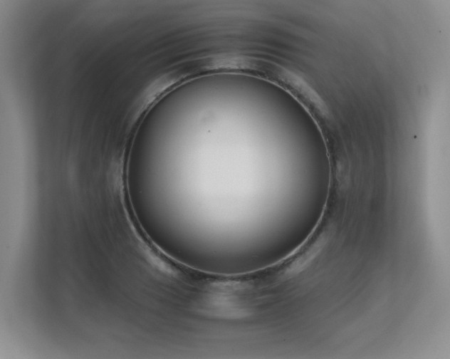 X0000111391033200907101142