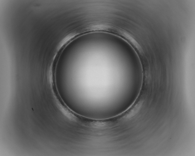 X0000111391034200907101142