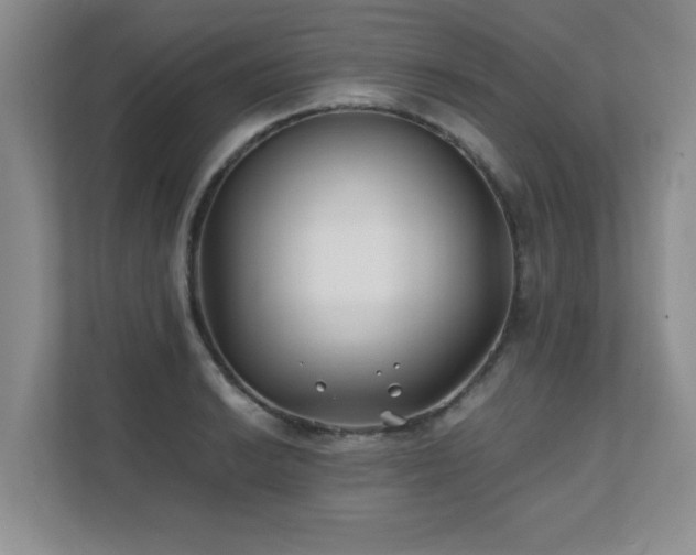 X0000111391038200907101142
