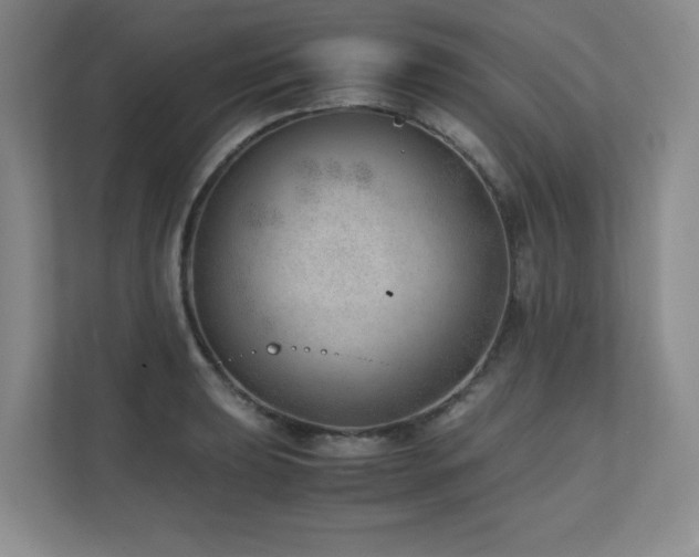X0000111391039200907101142