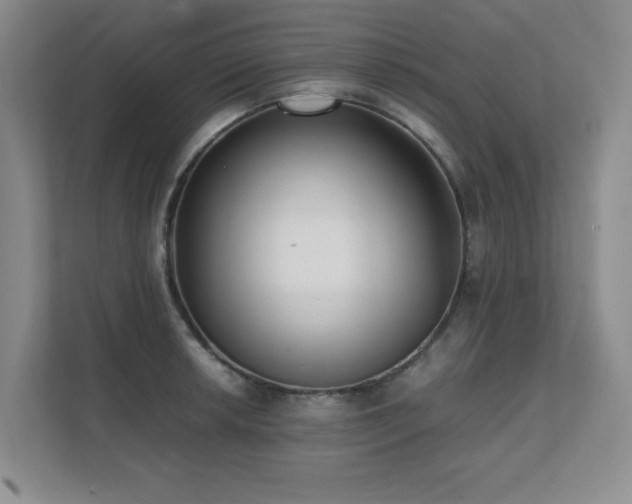 X0000111391042200907101142