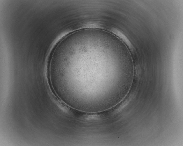 X0000111391043200907101142
