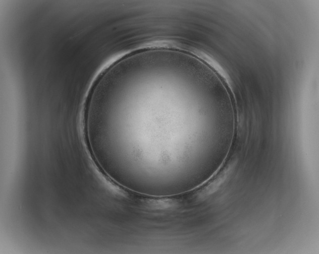 X0000111391045200907101142