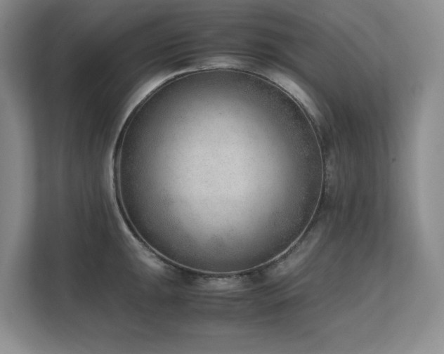 X0000111391047200907101142