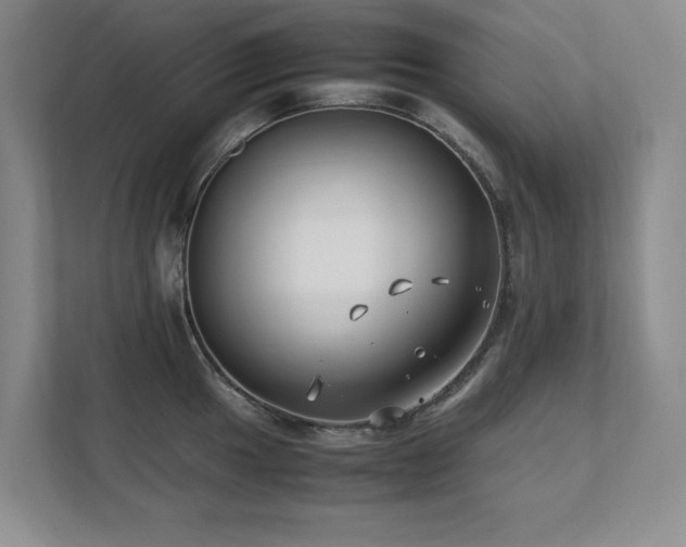 X0000111391049200907101142