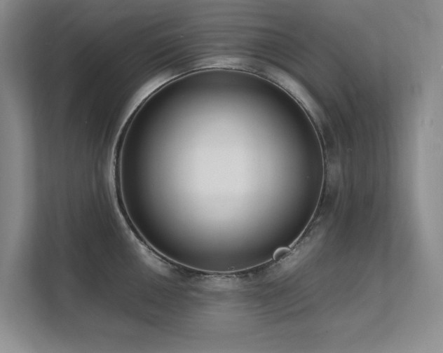 X0000111391050200907101142