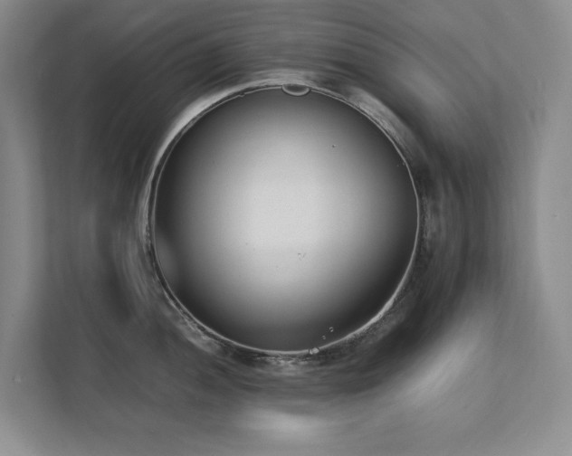 X0000111391052200907101142