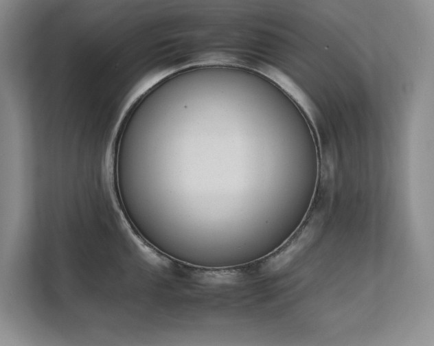 X0000111391053200907101142