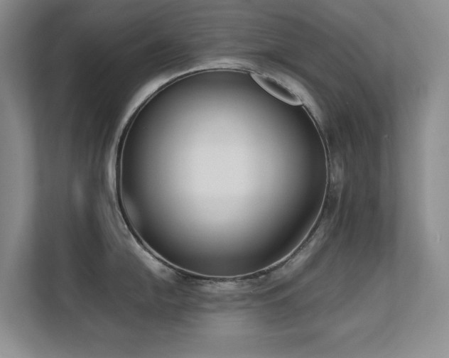 X0000111391054200907101142