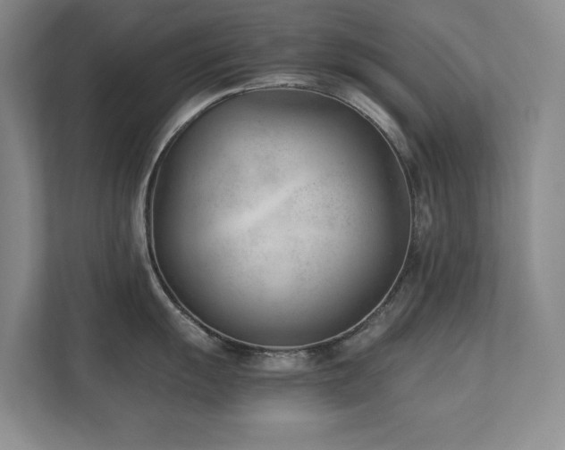 X0000111391055200907101142