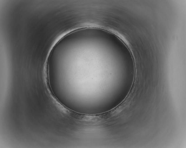 X0000111391056200907101142