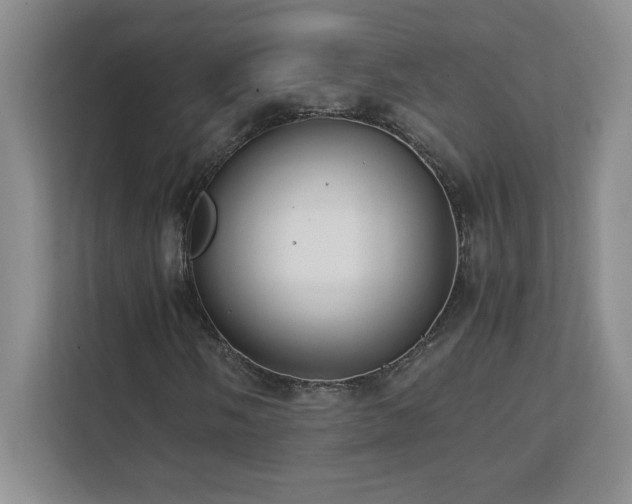 X0000111391058200907101142