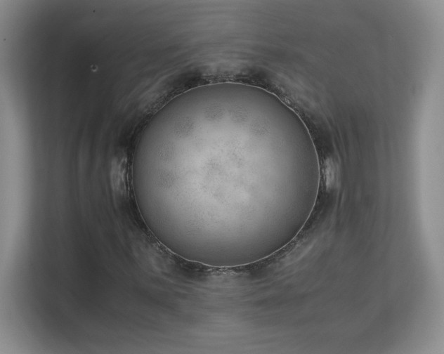 X0000111391059200907101142
