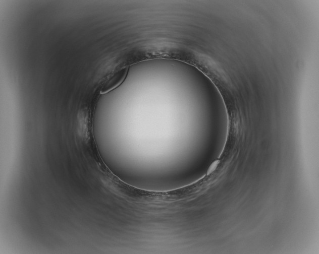 X0000111391060200907101142