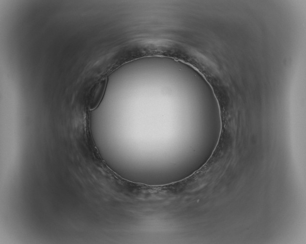 X0000111391061200907101142