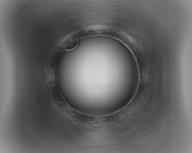 X0000111391062200907101142