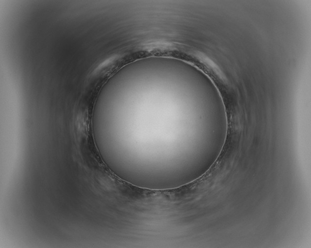 X0000111391063200907101142