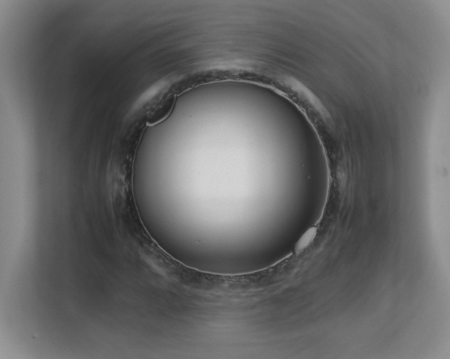 X0000111391064200907101142