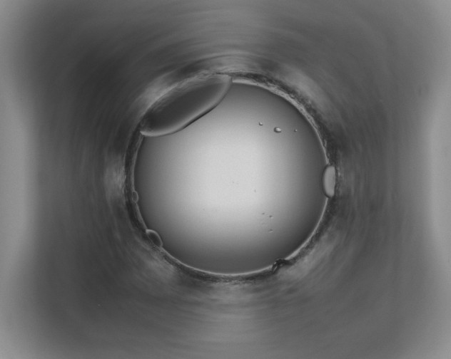 X0000111391065200907101142