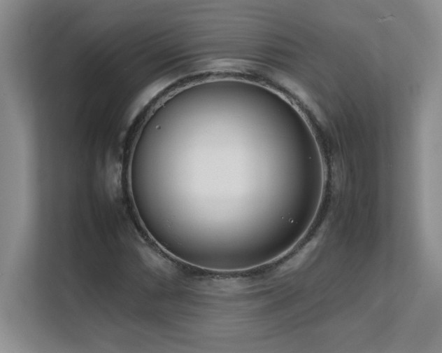 X0000111391066200907101142