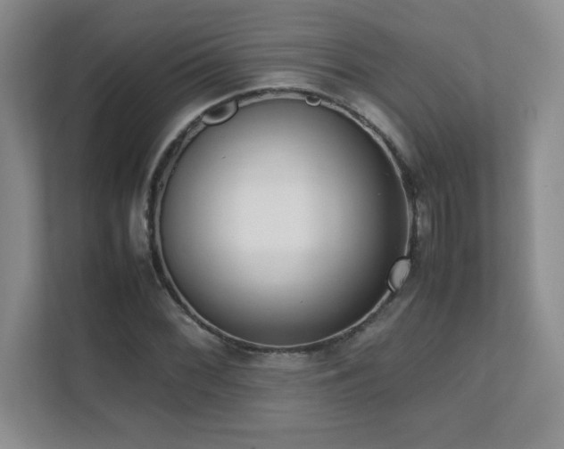 X0000111391068200907101142