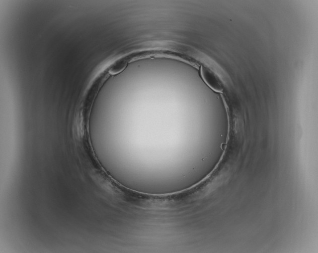 X0000111391069200907101142