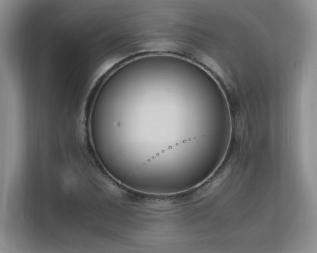 X0000111391071200907101142