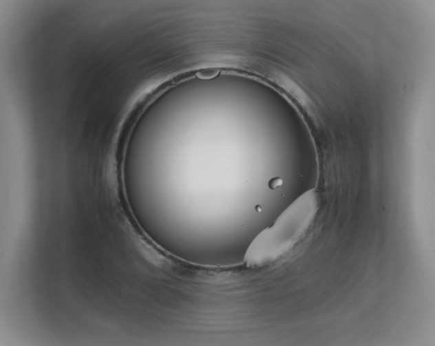 X0000111391072200907101142