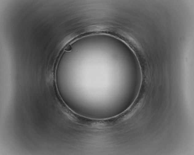 X0000111391073200907101141