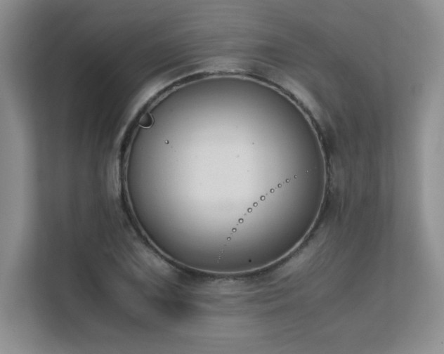 X0000111391075200907101141