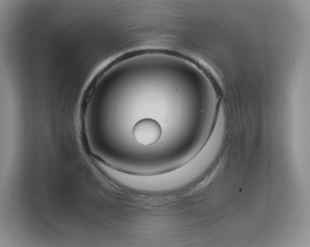 X0000111391077200907101141