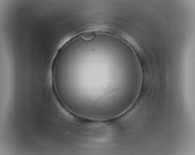 X0000111391079200907101141